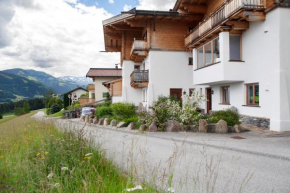Bergnest Penning Hopfgarten Im Brixental